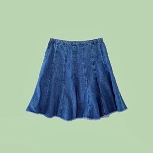 Zara Pleated Denim Mini Skirt
